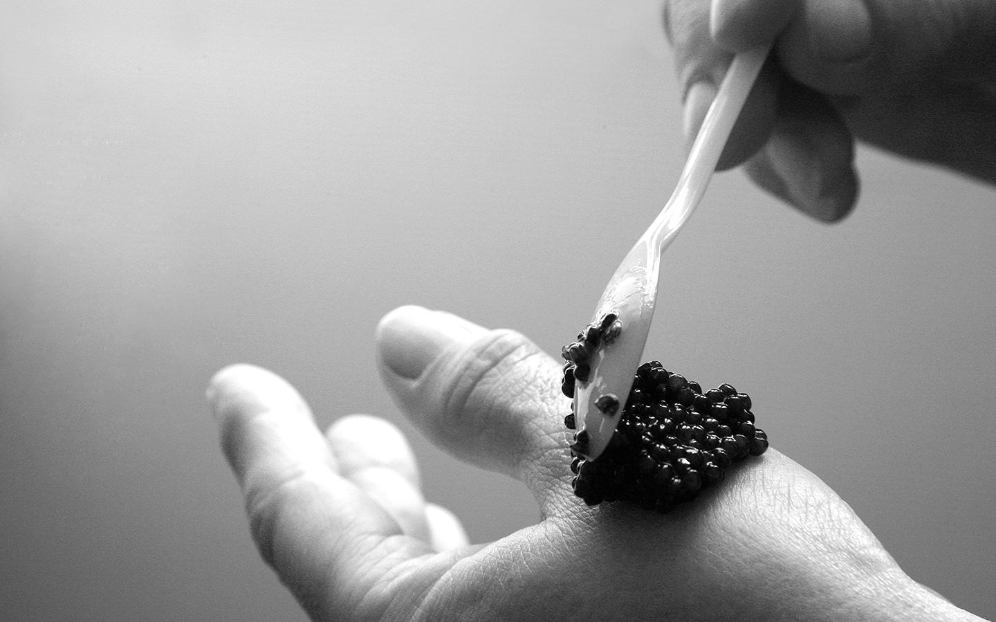 Echter Kaviar wird mit einem Perlmutt Löffel auf die Hand gegeben um dem schwarzen Kaviar die richtige Temperatur zu geben | Attilus Kaviar