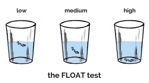 natural hair porosity float test