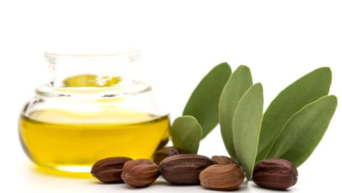 jojoba oil benefits