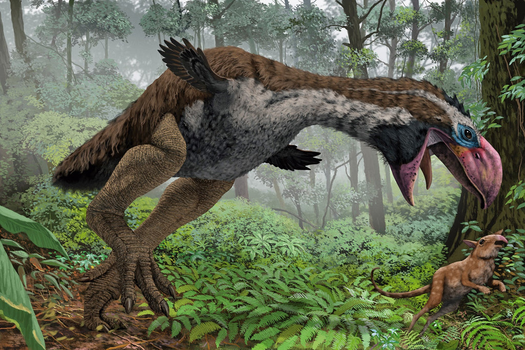 Terror Birds To Trial: Carnivores or Herbivores? – Jurassic-Dreams.com