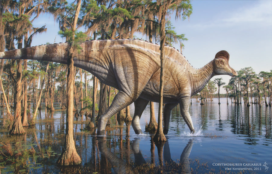 Corythosaurus, by Vlad Konstantinov
