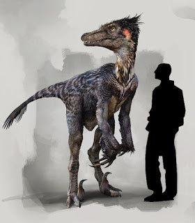 Dakotaraptor