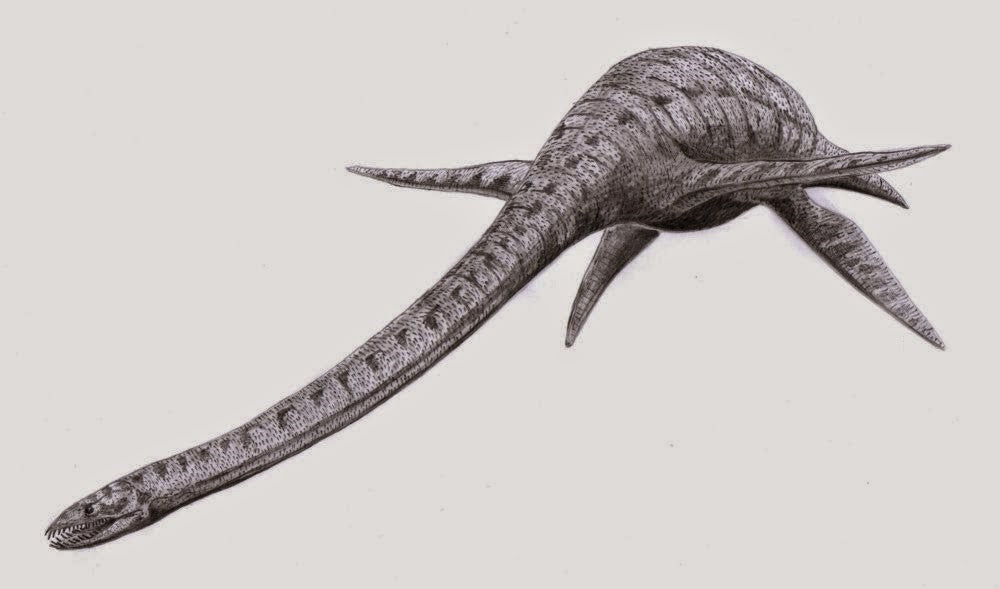 Elasmosaur