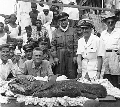 Image of the first Coelacanth