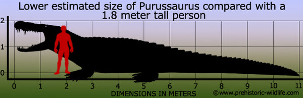 Purussaurus