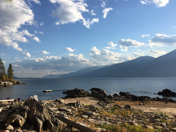 Kootenay Lake British Columbia, Kootz Collective 