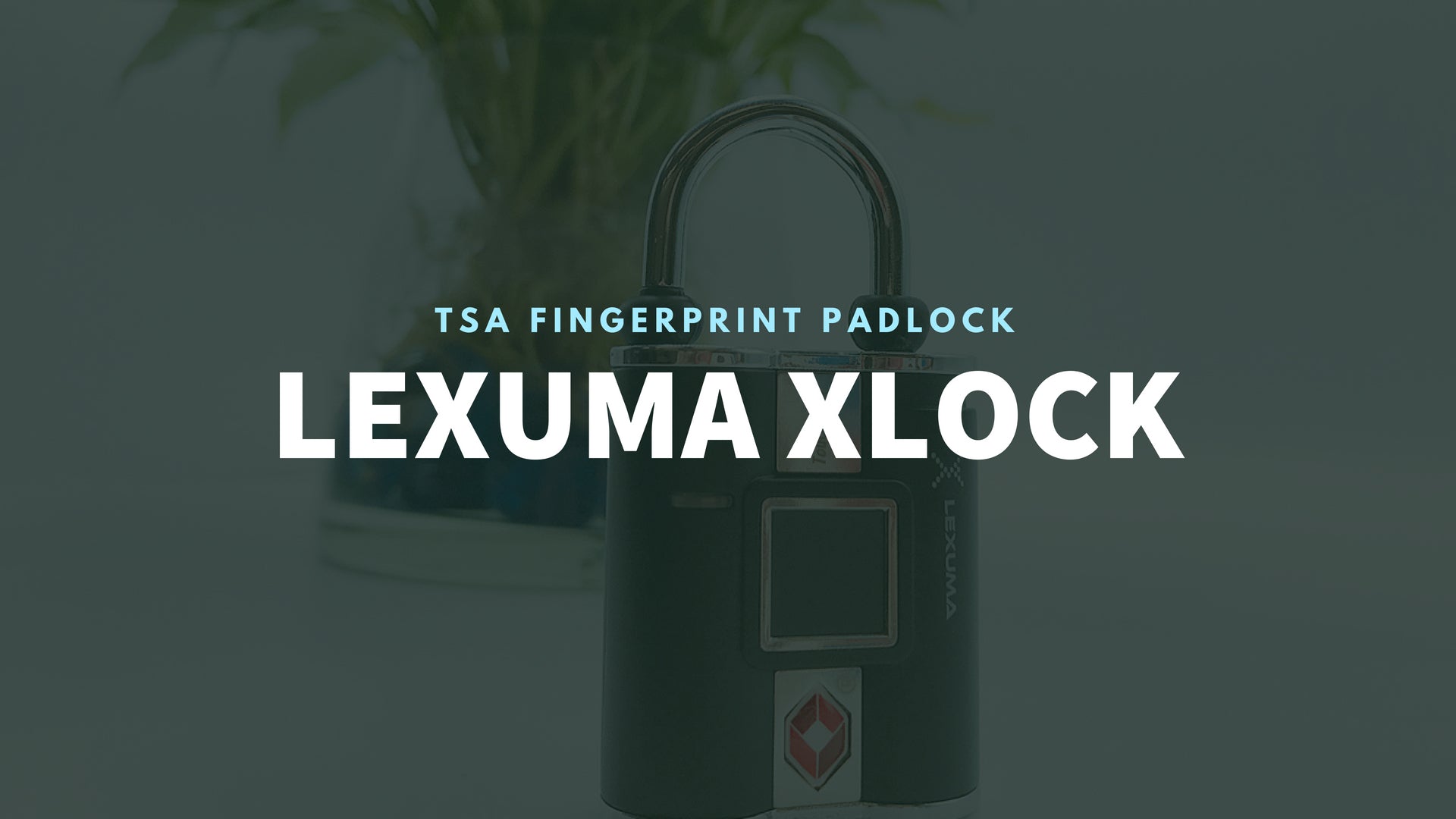 XLock Lexuma XLK-1020 TSA FINGERPRINT PADLOCK reviews best 2019 uervoton with key best 2019 mypin ensor lock locks for school lockers thumbprint lockers shark tank tapplock one review singapore tapplock sale tapplock app smart lock for locker manual best 2019 tinkux intelligent talon locks mr60-1tb biometric outdoor biometric master lock benjilock lock wgcc tapplock lite - GadgetiCloud mart lock safety lock banner