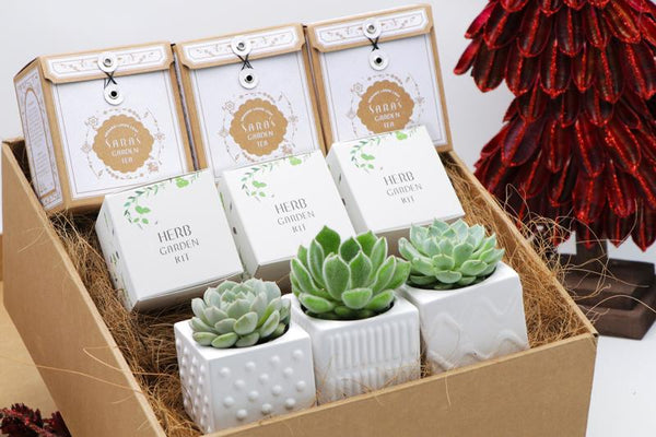 Sara's Garden Gift Box Organic gardening gift box