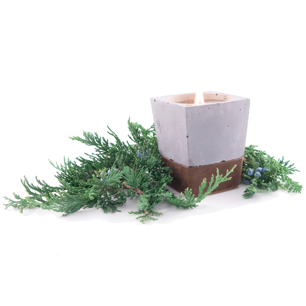 Rustico Candle + Succulent Vessel - Juniper