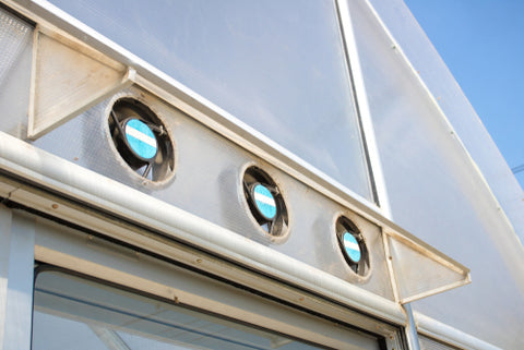What Kind Of Ventilation Does Your Indoor Garden Need? ventilation system greenhouse