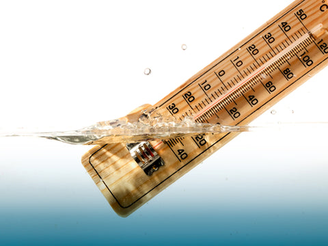 Everything You Need To Know About Water Testing thermometer testing water temp