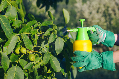 How To Get Rid Of Garden Pests spraying pesticide