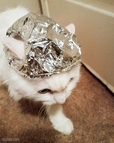 Tin Foil Hat for Cats - White Kitty Walking