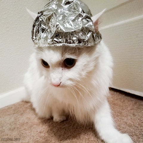 Tin Foil Hat for Cats White Cat