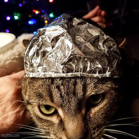 Tin Foil Hat for Cats - Closeup
