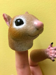 three quarter view handisquirrel head