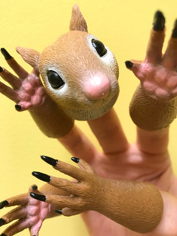 Closeup of Handisquirrel