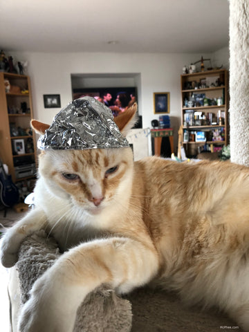 Tin Foil Hat for Cats - Conspiracy Kitty