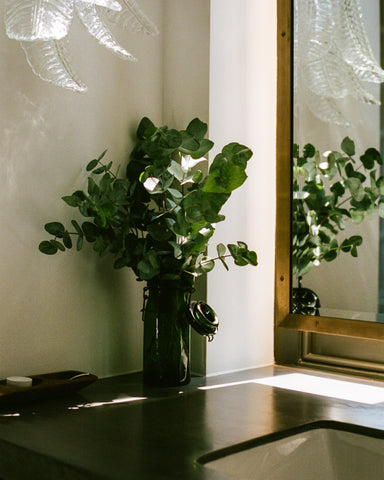 A jar of Eucalyptus next to a sink