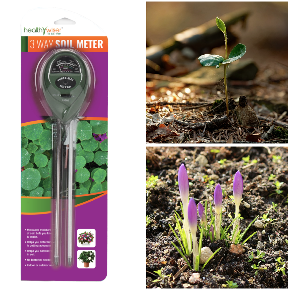 Testing Soil PH and Moisture with HealthyWiser 3-in-1 Soil Meter