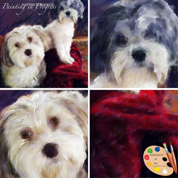 Havanese Painting Stages