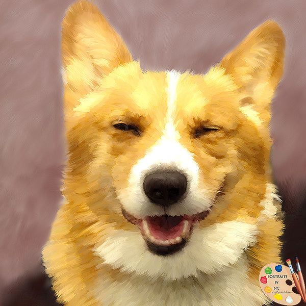 smiling corgi portrait