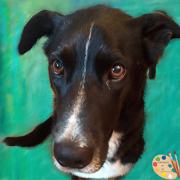 custom-dog-portrait
