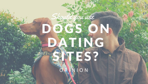 Dogs Dating Tinder Luxury Dog Fashion Dog Coats Collars Leads Australian Made