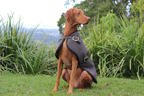 Dog Coat Dog Jacket Dog Blazer Luxury Dog Coat Luxury Dog Blazer Luxury Dog Jacket Handmade in Australia Owen & Edwin Melbourne Blazer