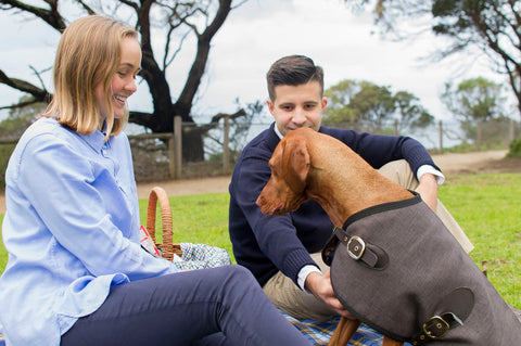 Luxury Dog Fashion Dog Brand Owen & Edwin Melbourne Blazer Dog Blazer Dog Jacket Australian Made Handcrafted