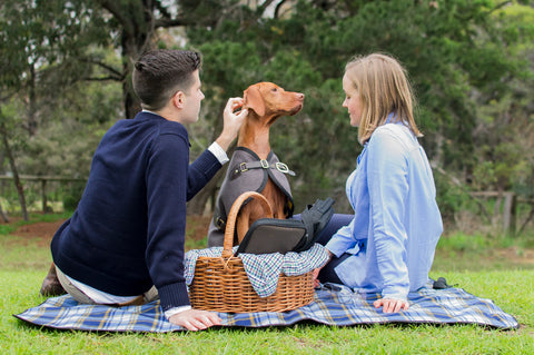 Owen & Edwin - Luxury Dog Blazer - Melbourne - Dog Coat - Australian Made - Luxury Dog Jacket