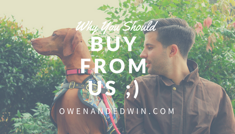 Owen & Edwin - Buy From Us - Vizsla Puppy - Weimaraner Adoption - Doberman Training - Love your Dog