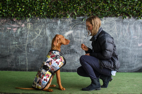 Luxury Dog Jacket Owen & Edwin Luxury Dog Coat Dog Blazer The Rome Blazer Vizsla Weimaraner Dog Apparel Big Dog German Shorthaired Pointer English Pointer Love Big Dogs Hunting Dog Bird Dog Handmade In Australia