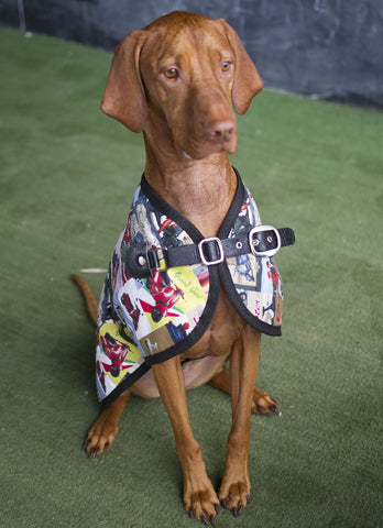 Owen & Edwin Rome Blazer Dog Blazer Luxury Dog Blazer Luxury Dog Coat Dog Jacket Big Dog Vizsla Weimaraner GSP Dalmatian Retriever Gun Dog Bird dog