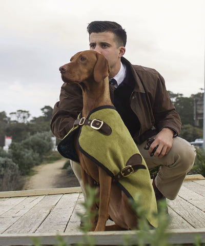 Luxury Dog Coat Dog Blazer London Blazer Owen & Edwin Pet Dog Fashion