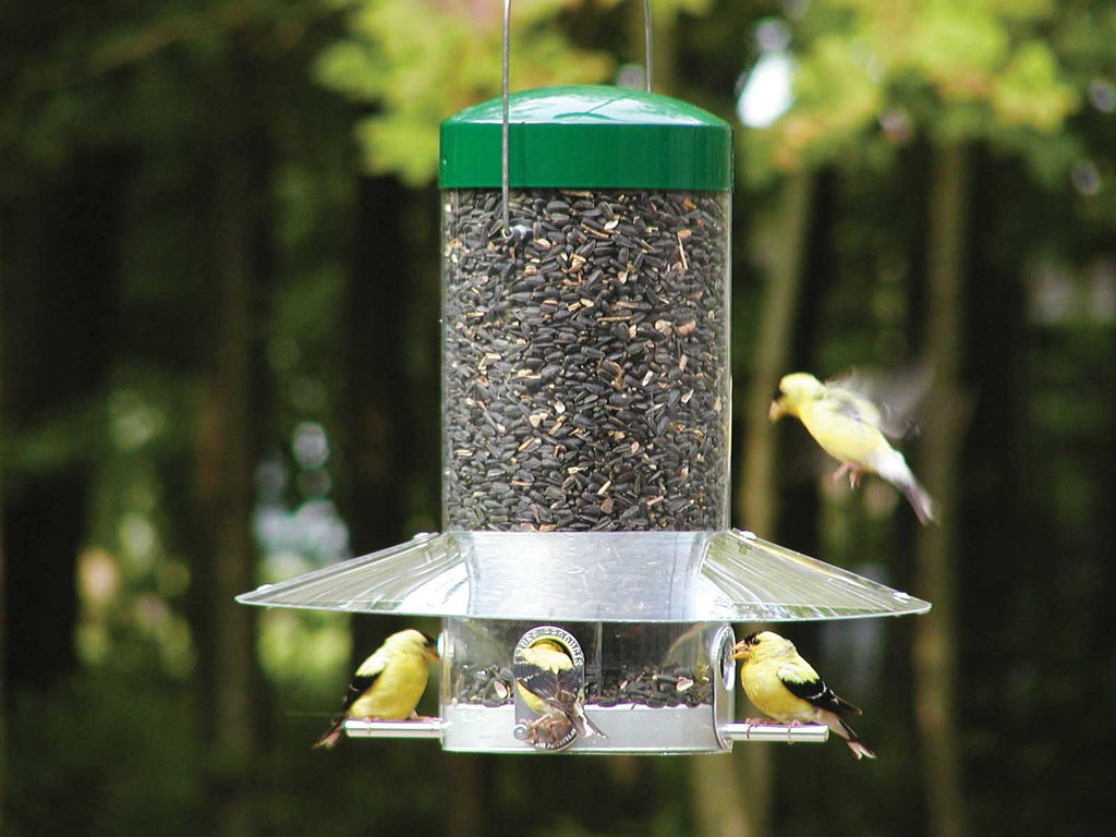 birds choice peanut feeder