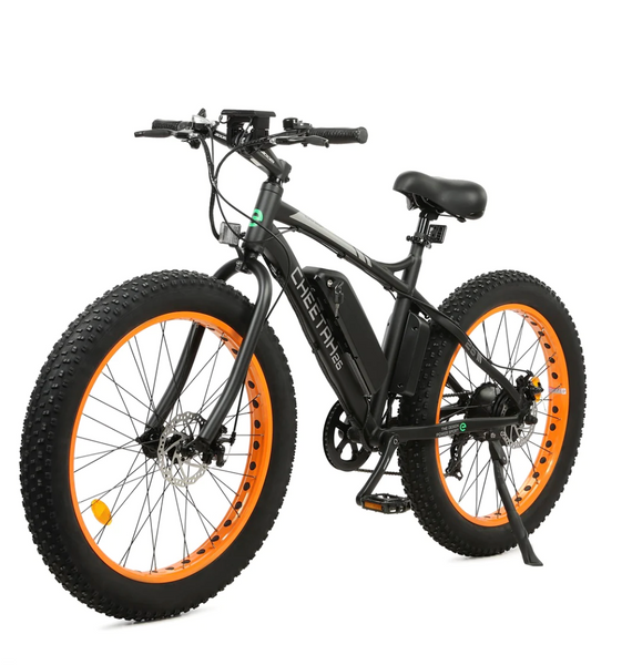 wheelz electric bike