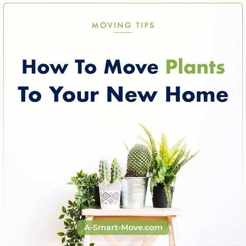 Moving Plants to Your New Home