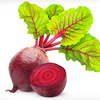 Beetroot