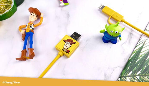 Toy Story 2-in-1 Micro USB/Type C charging cable