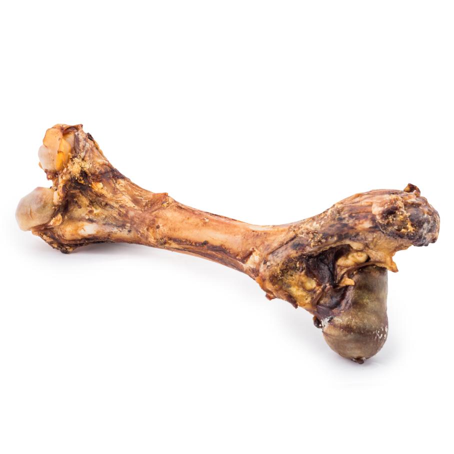 cow femur bone for dogs