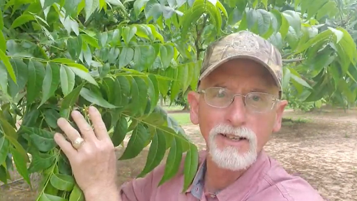 Orchard Tour with Andy - October 9, 2021 @12pm