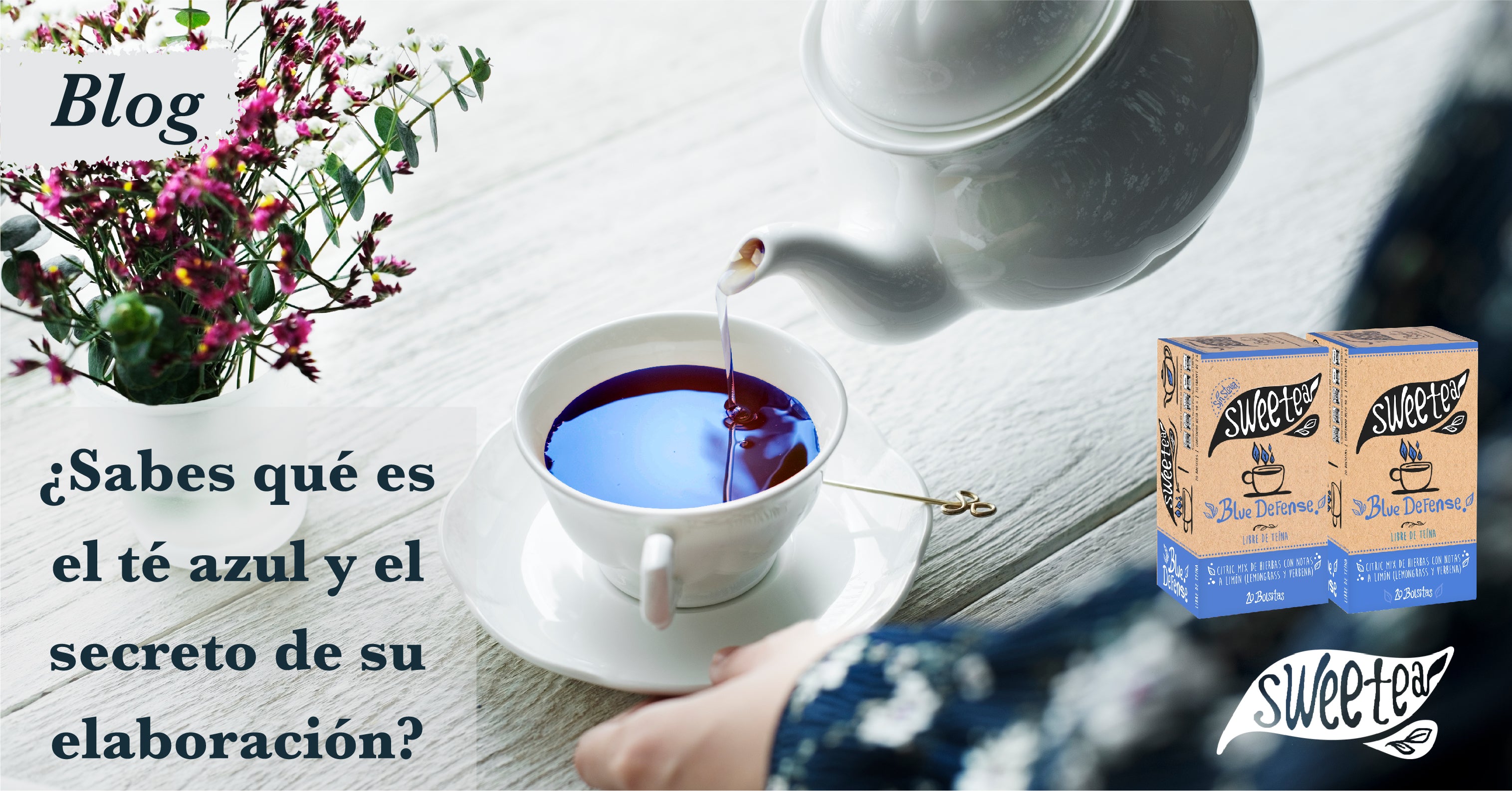 Té Azul Té Oolong: Propiedades y Beneficios