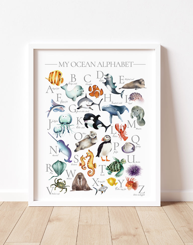 Ocean Sea Animal Alphabet Print – Studio Q - Art by Nicky Quartermaine Scott