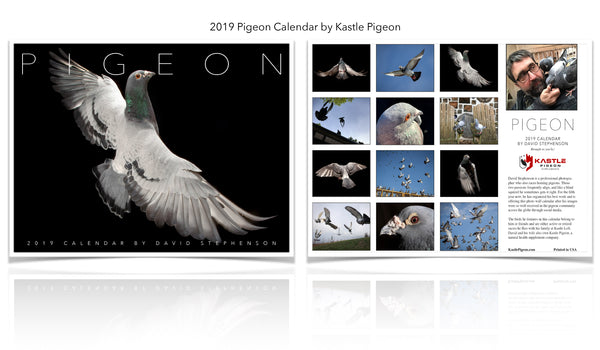 racing pigeon calendar