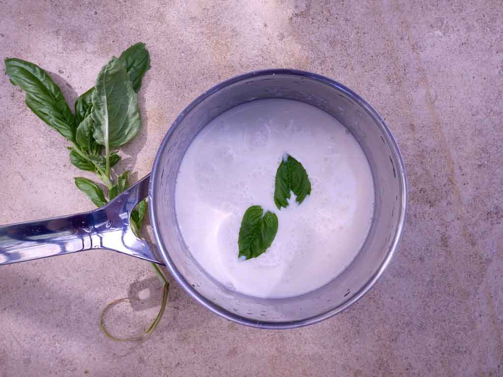 Recette Panacotta par Jules & Green pour Bastide