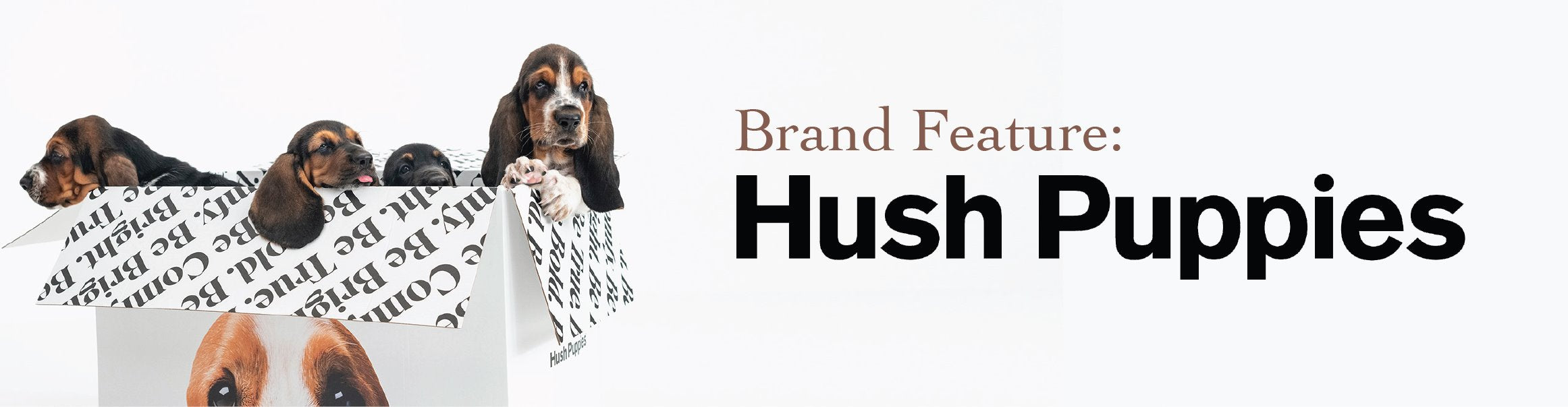 biologi Sammensætning Lav aftensmad Brand Feature: Hush Puppies – heel boy