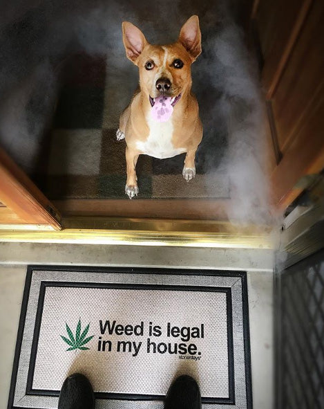 Weed Is Legal In My House Door Mat