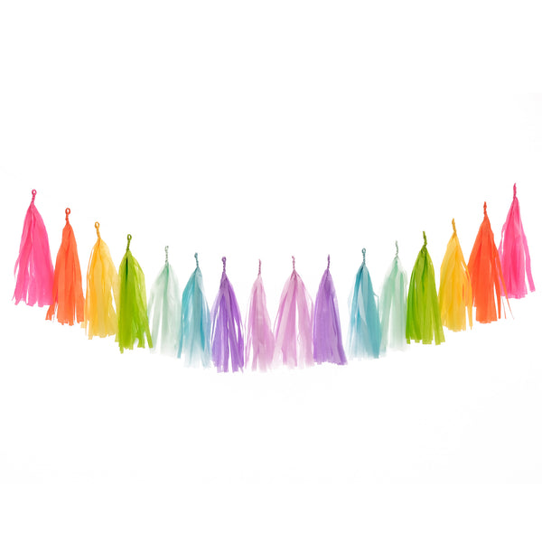 rainbow tassel garland