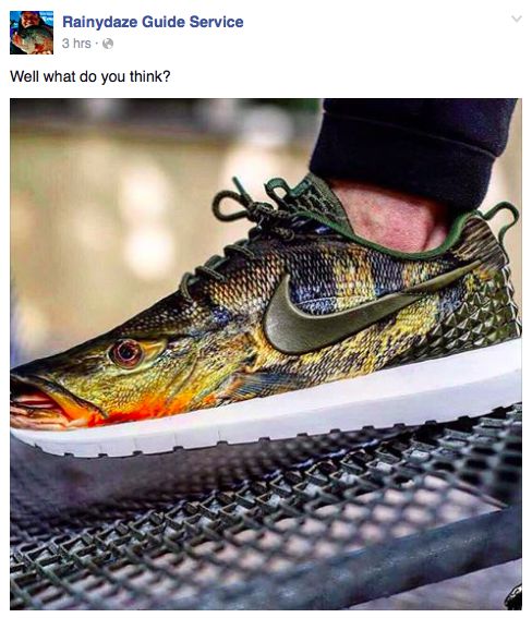 Realistic Nike Fish Shoes 